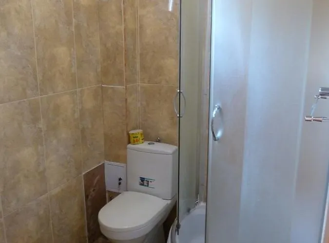 U Olgi 3* Трускавец
