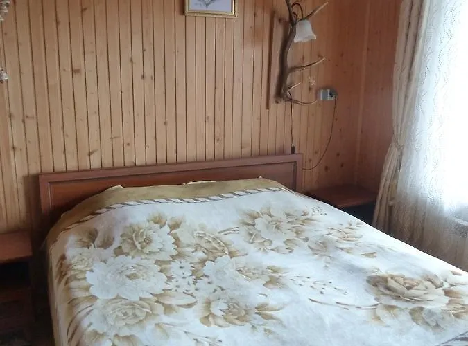 U Olgi 3*