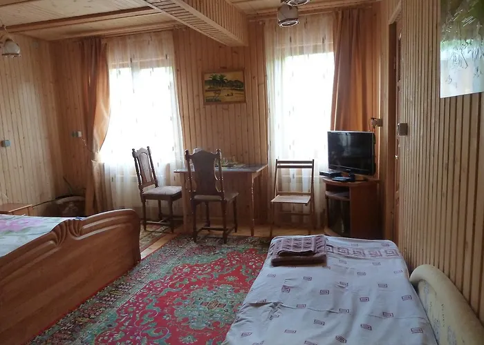 Гостевой дом U Olgi Трускавец